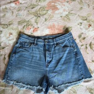 American Eagle Outfitters size 14 highest rise 90s boyfriend Shorts